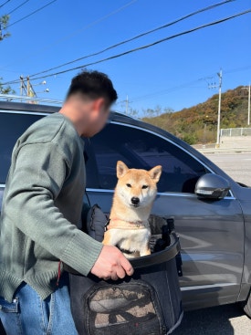 시인과촌장식당 이미지