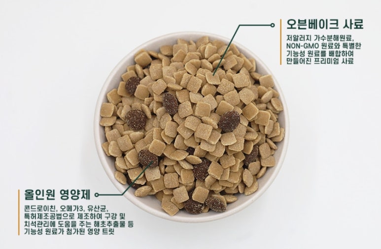 더텐 이미지