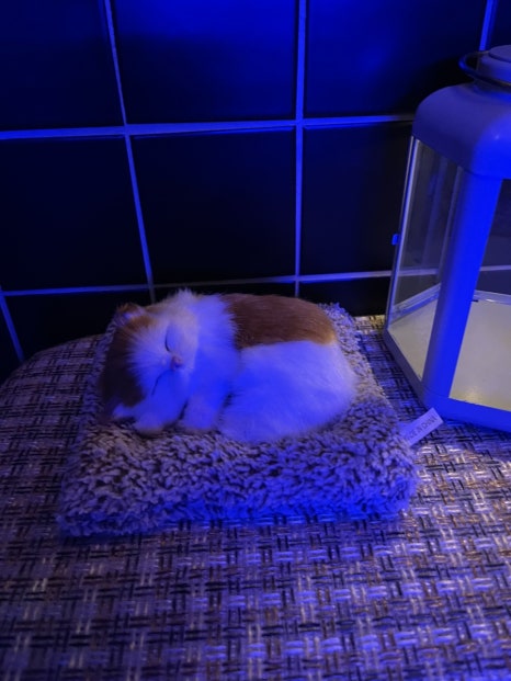 흥덕기념품 이미지
