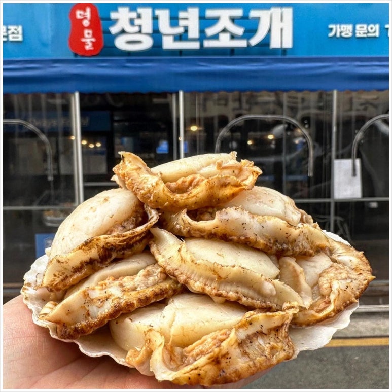 청년조개 이미지