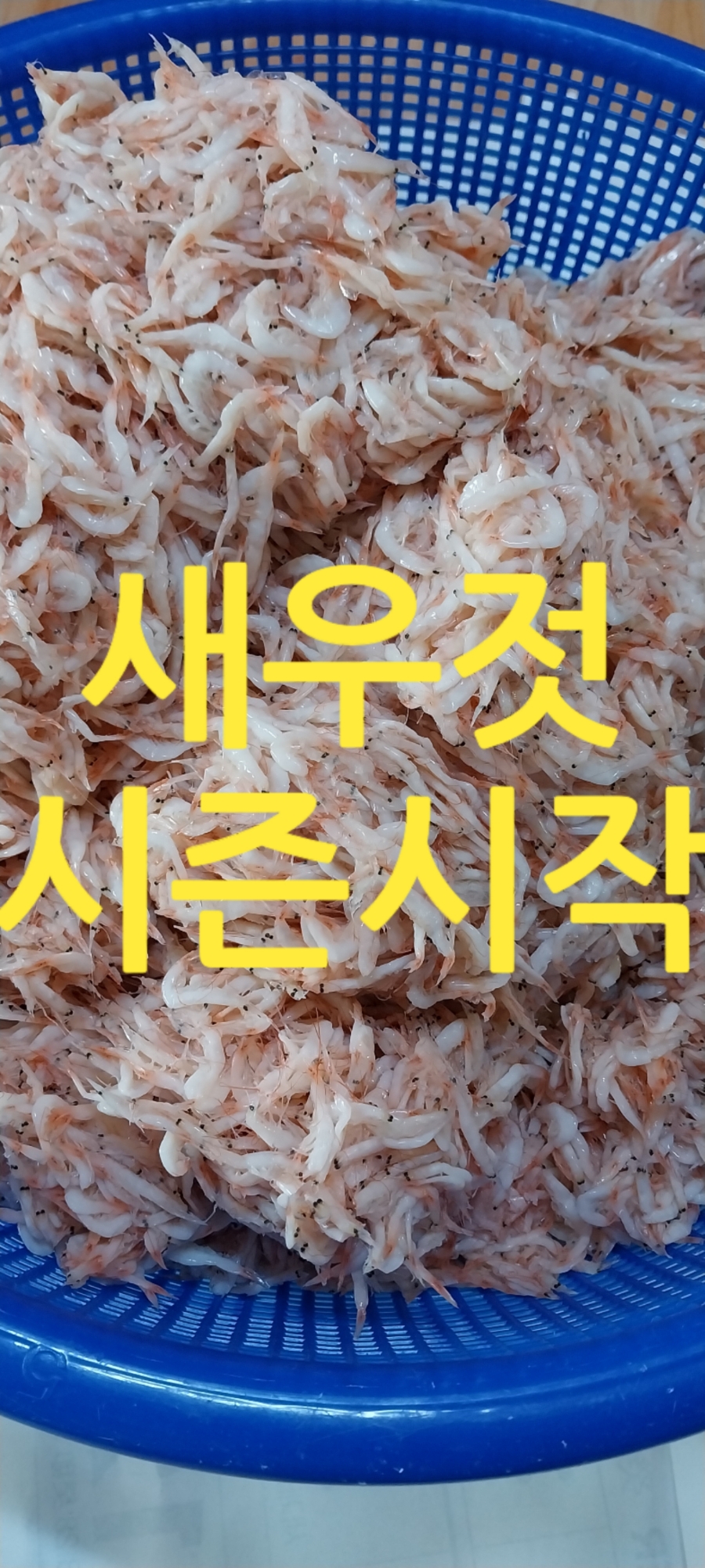 천지농수산 이미지