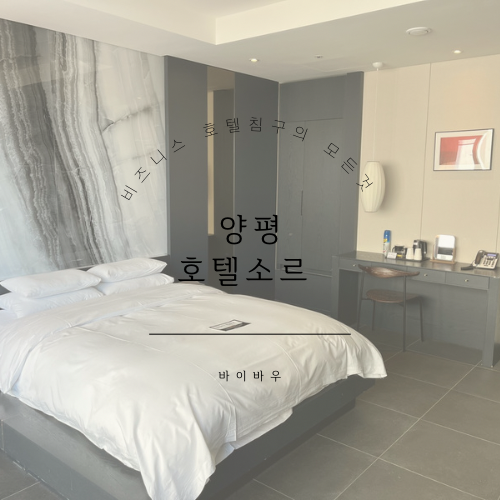 바이바우 이미지