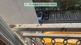 비둘기세탁소 이미지