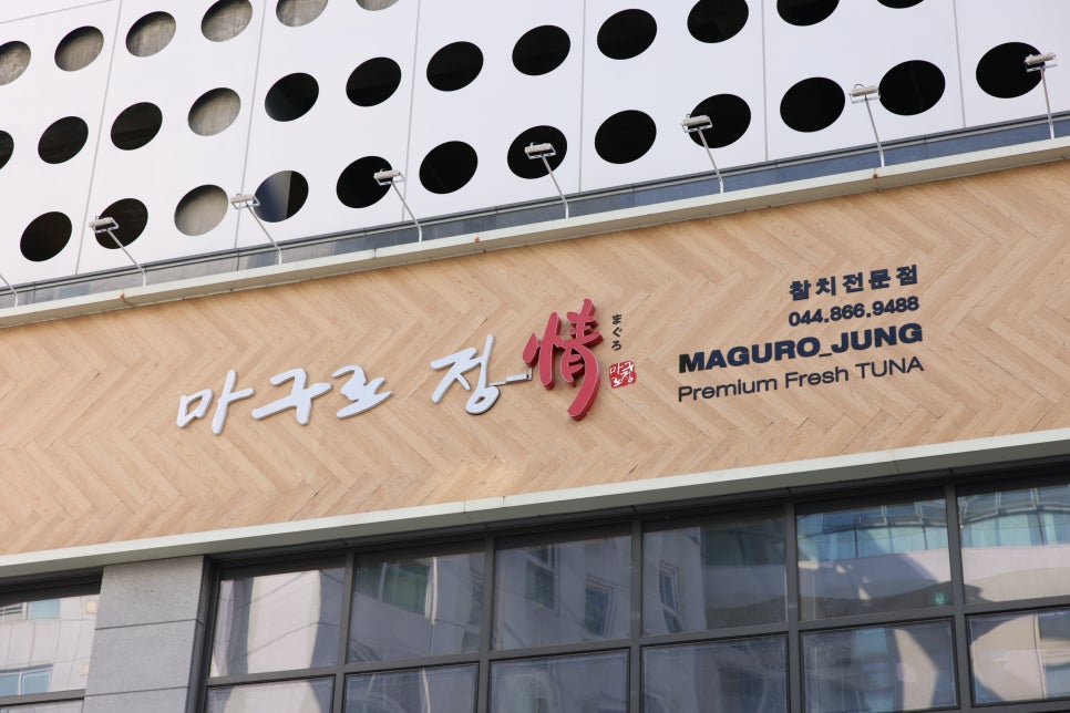 세종참치 이미지