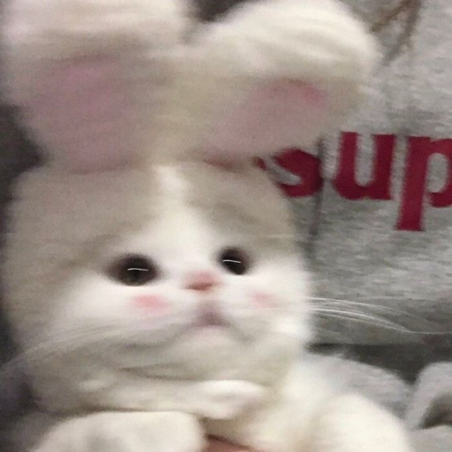 두둥 이미지