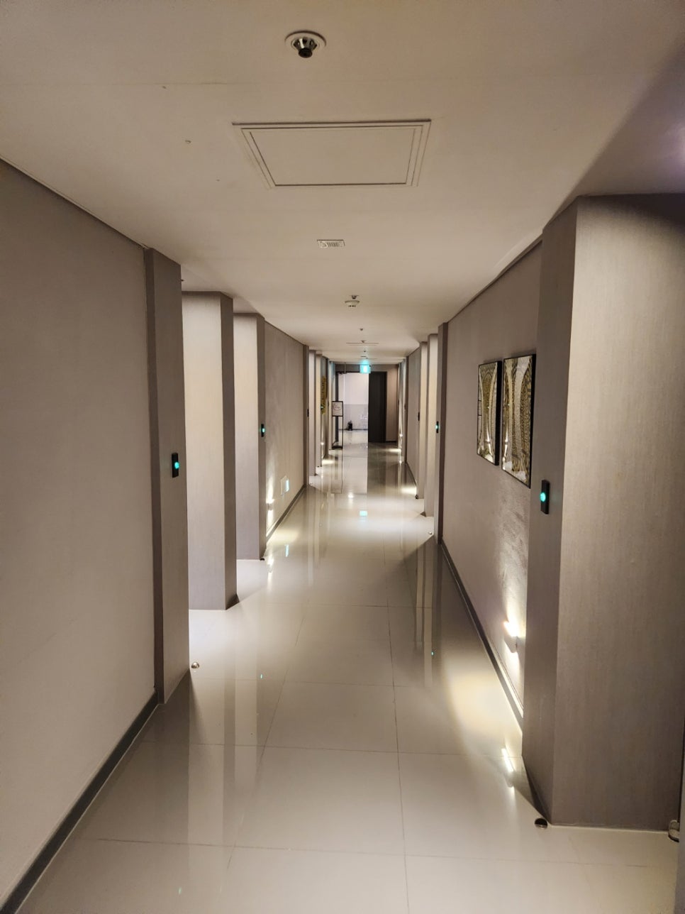 퍼플315 이미지