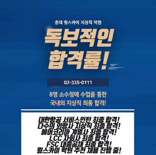 스카이윙 이미지