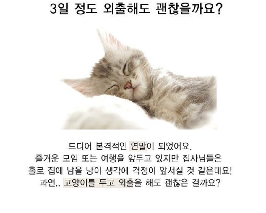두고집 이미지