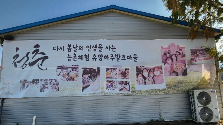 앙코르브라보노사회적협동조합 이미지