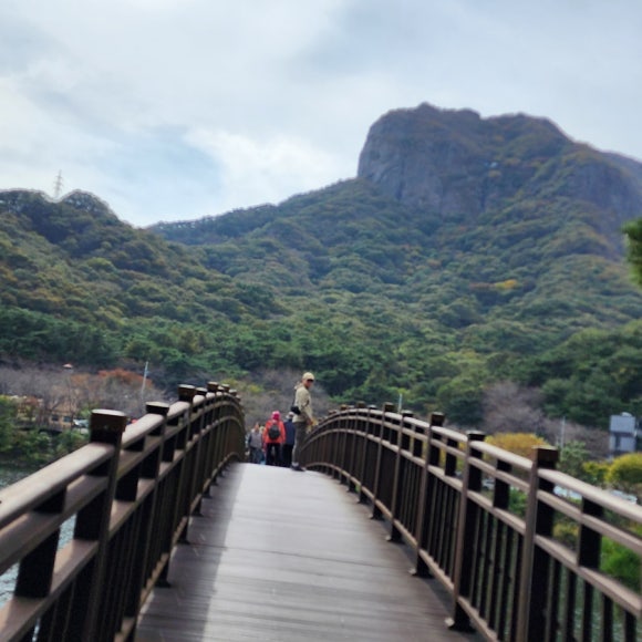 용마루부동산 이미지