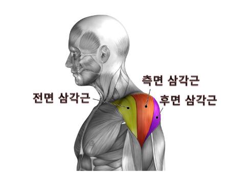 레벨업휘트니스인창 이미지