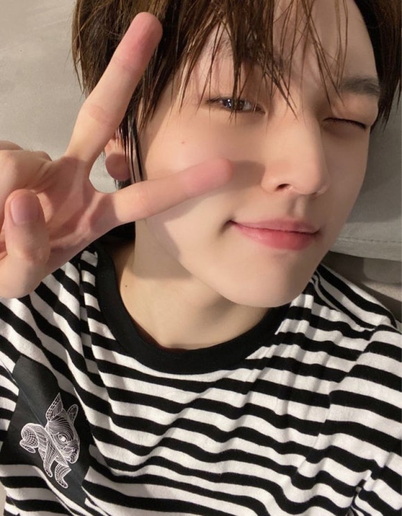 새암넷 이미지