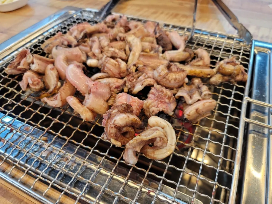 광암돌장어 이미지