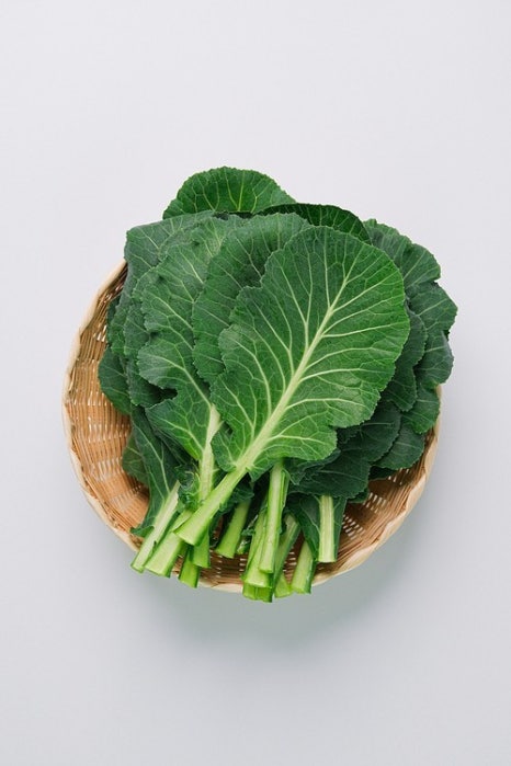 리체한방병원 이미지