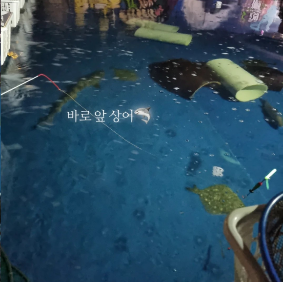 못난이샤크실내바다낚시터 이미지