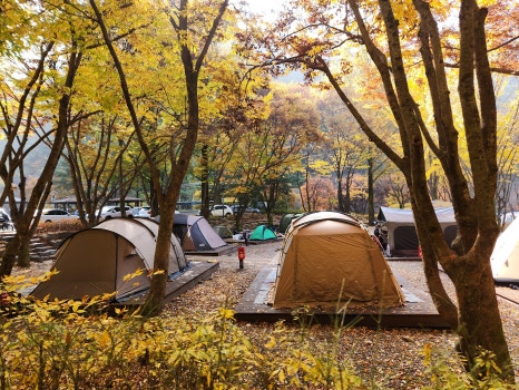 다리안관광지 데크야영장 이미지