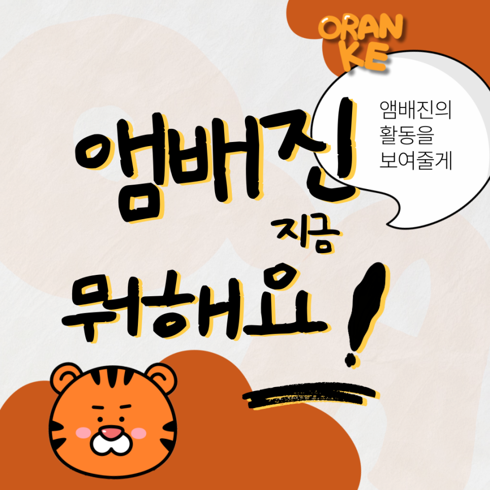 (주)위즈덤콘텐츠 이미지