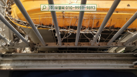비둘기세탁소 이미지
