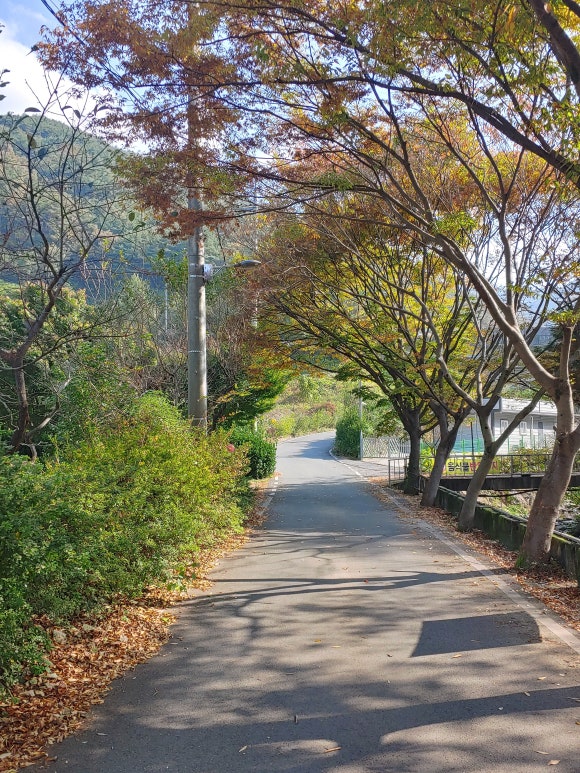 정혜사입구 이미지
