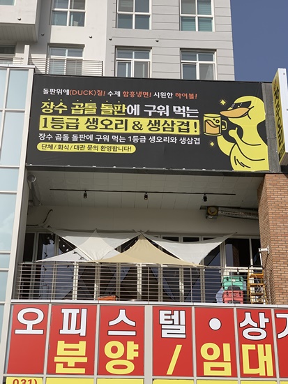 신선오리 이미지