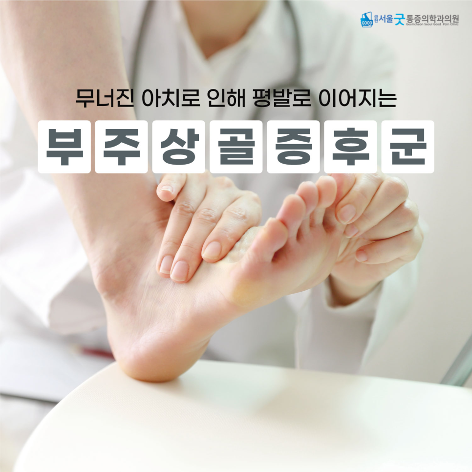 금천서울굿마취통증의학과의원 이미지