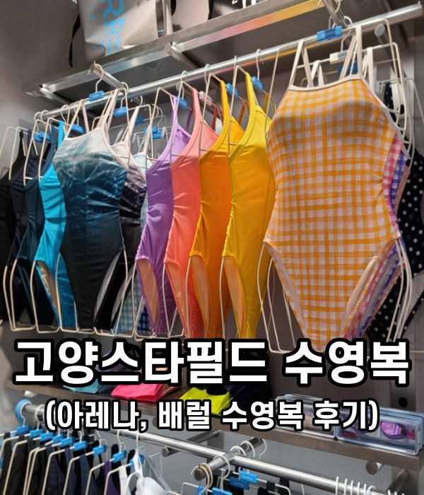 아레나스타필드고양 이미지
