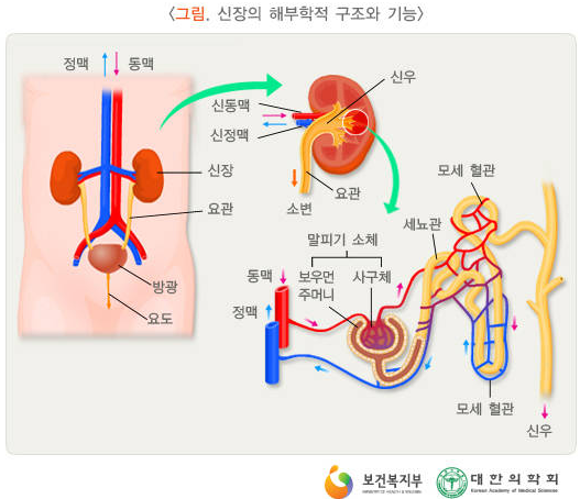 맑음내과의원 이미지
