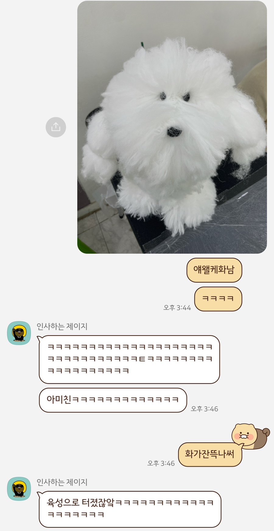 큐브애견미용학원 이미지