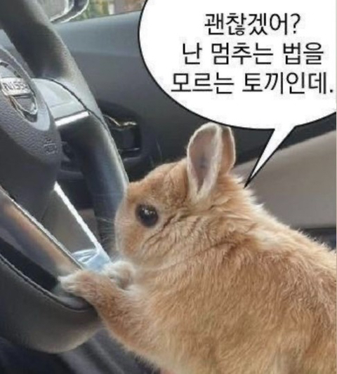 예빈헤어 시크릿점 이미지
