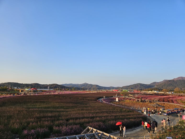 정식꽃밭 이미지