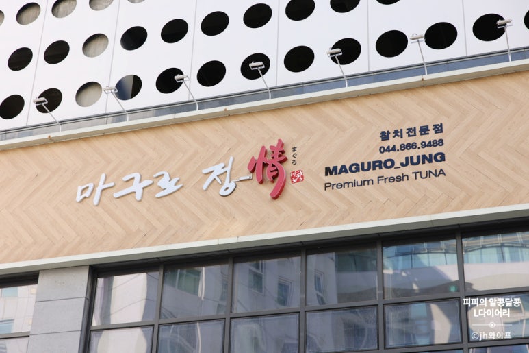 세종참치 이미지