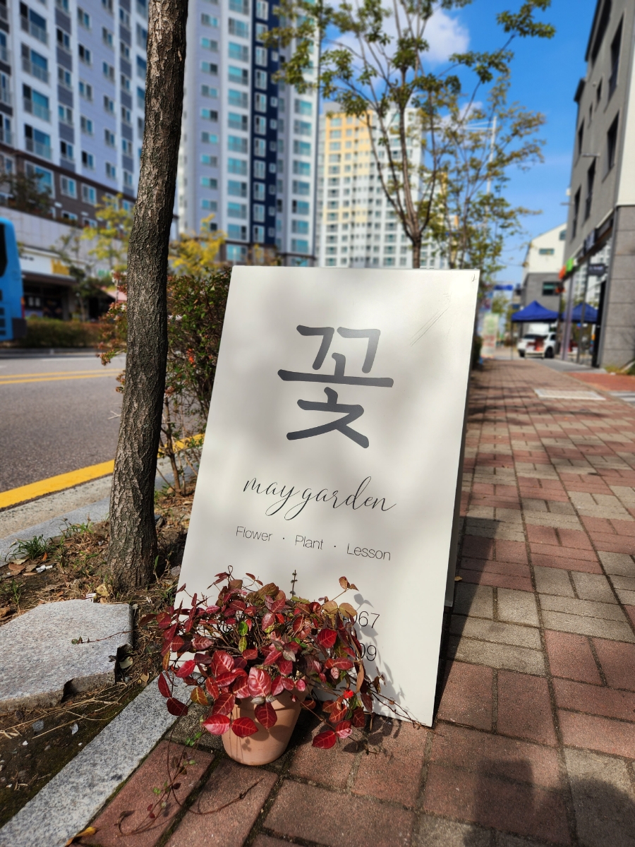 매이정원 이미지