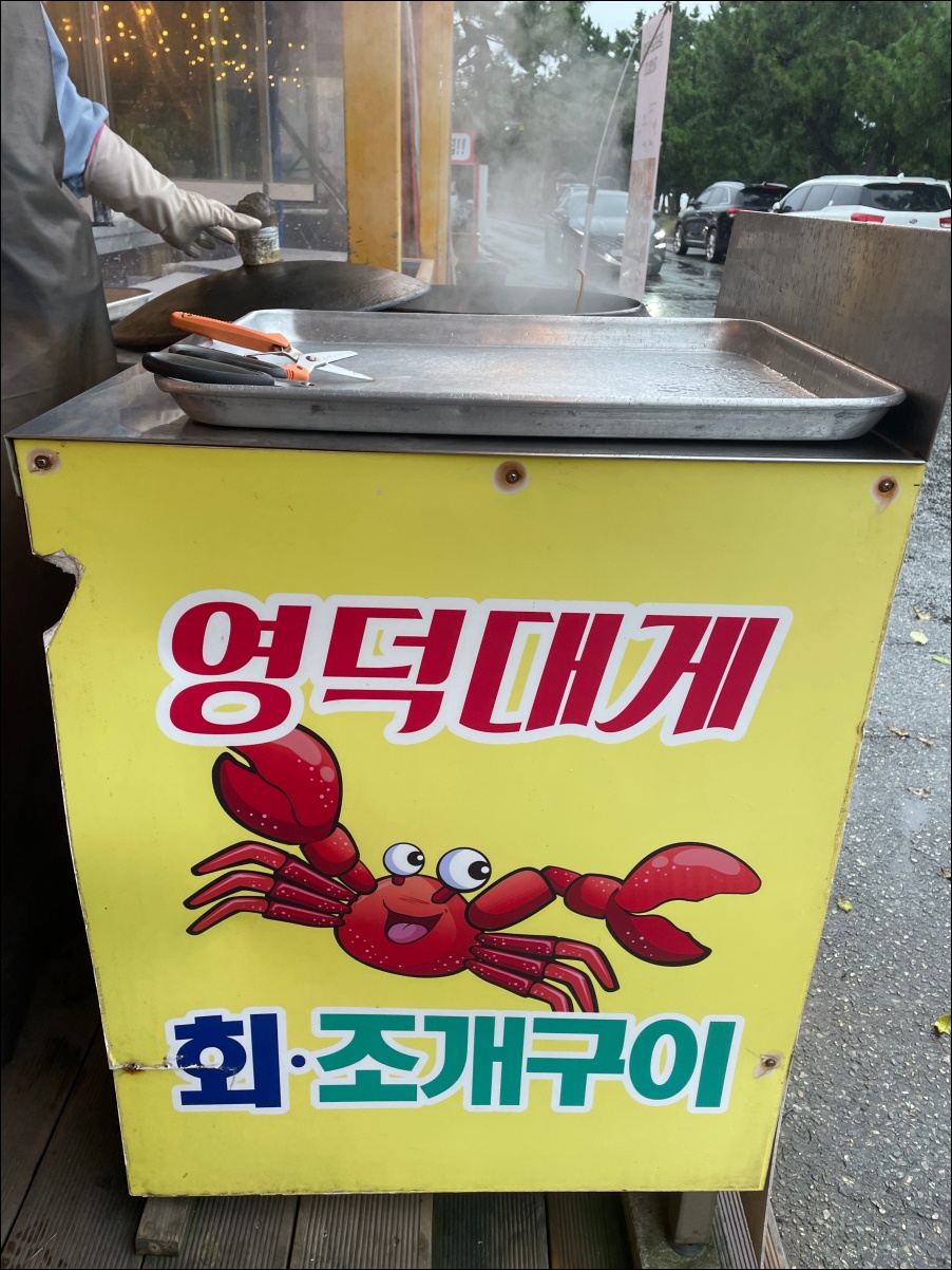 영덕에산다 이미지