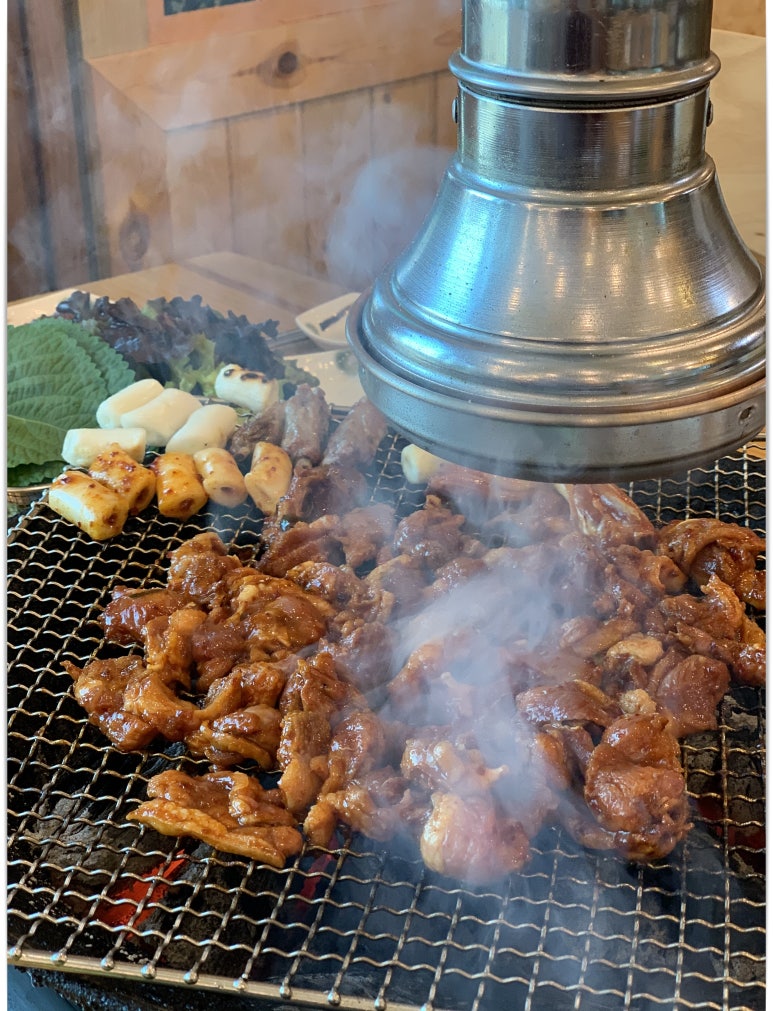 싱싱오리 이미지