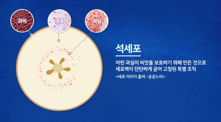 주식회사 루츠랩 이미지