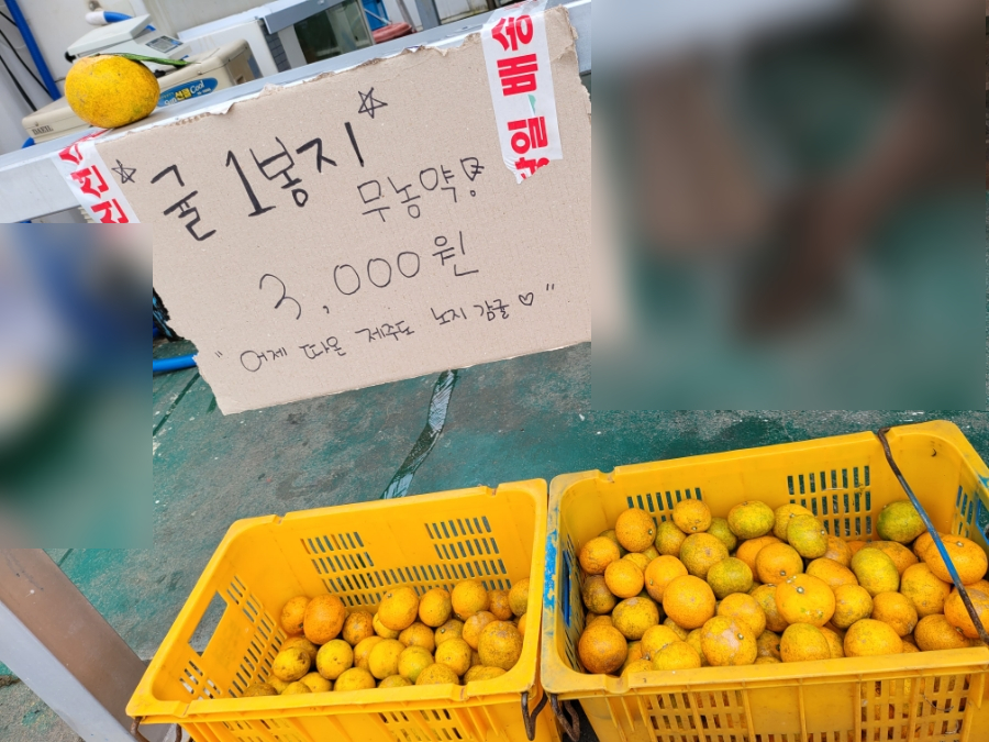 금복상회 이미지