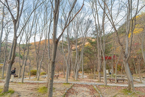 새재열쇠 이미지