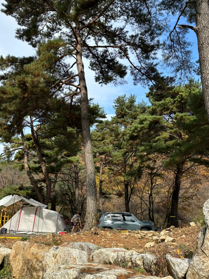 팜스프링 야영장 이미지