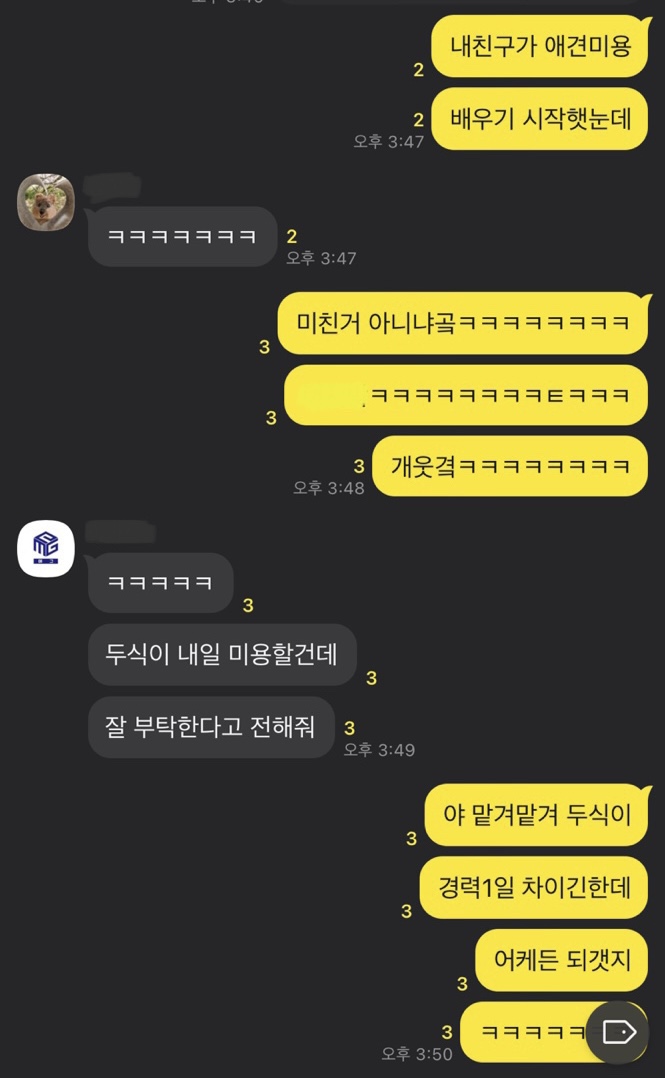 큐브애견미용학원 이미지