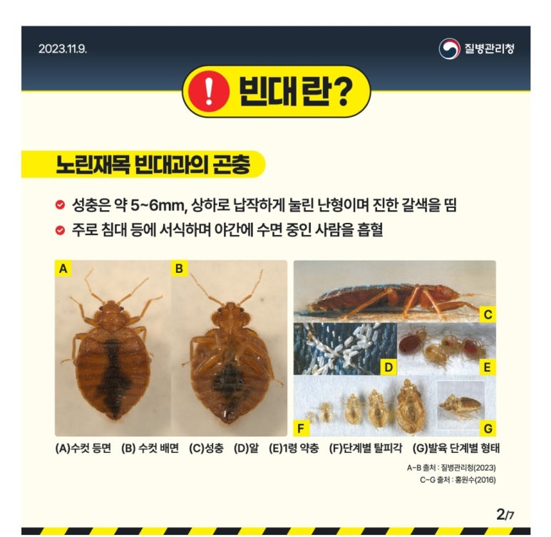 더피아노스토리 이미지