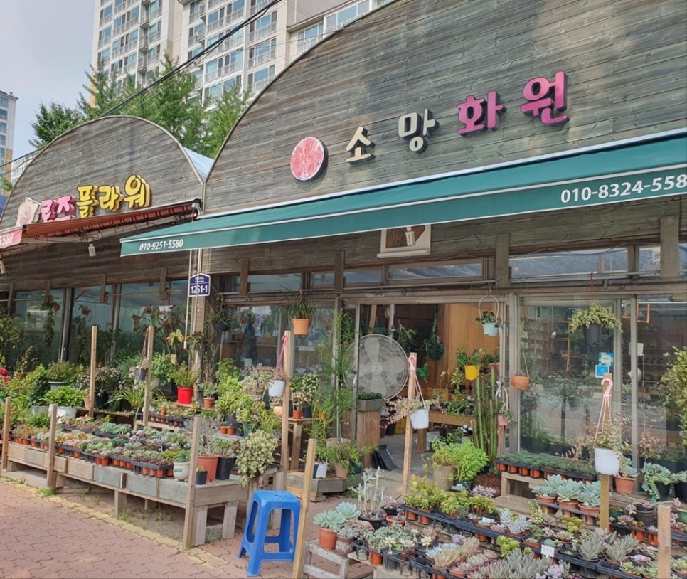 식물로사랑을노래하다 이미지