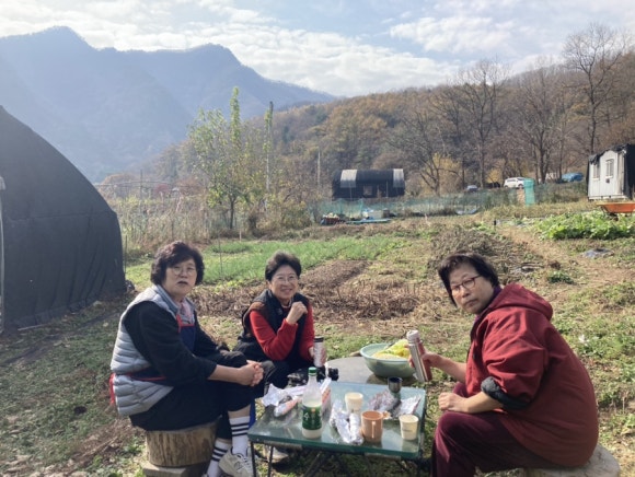 세친구김밥 이미지