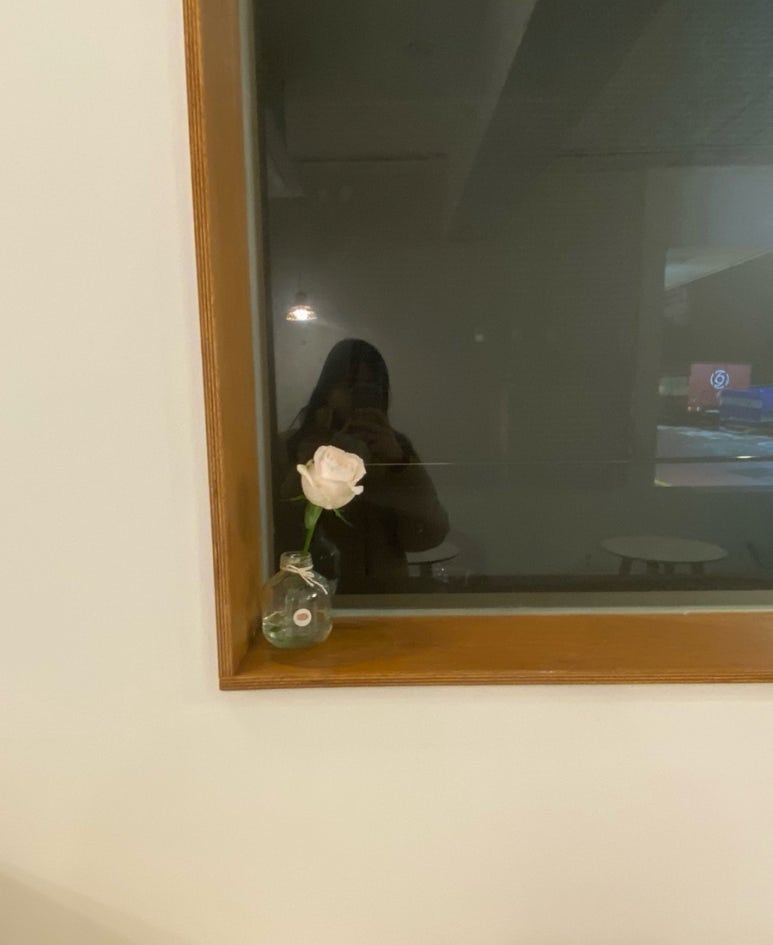 오프니 이미지