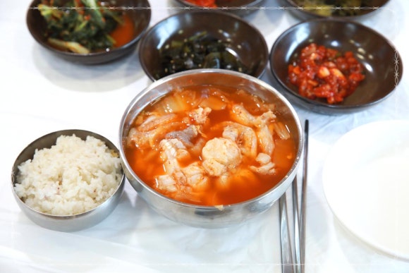 동해곰치 이미지