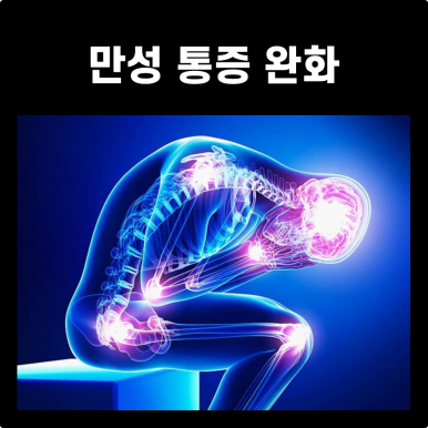 엠에스알 이미지
