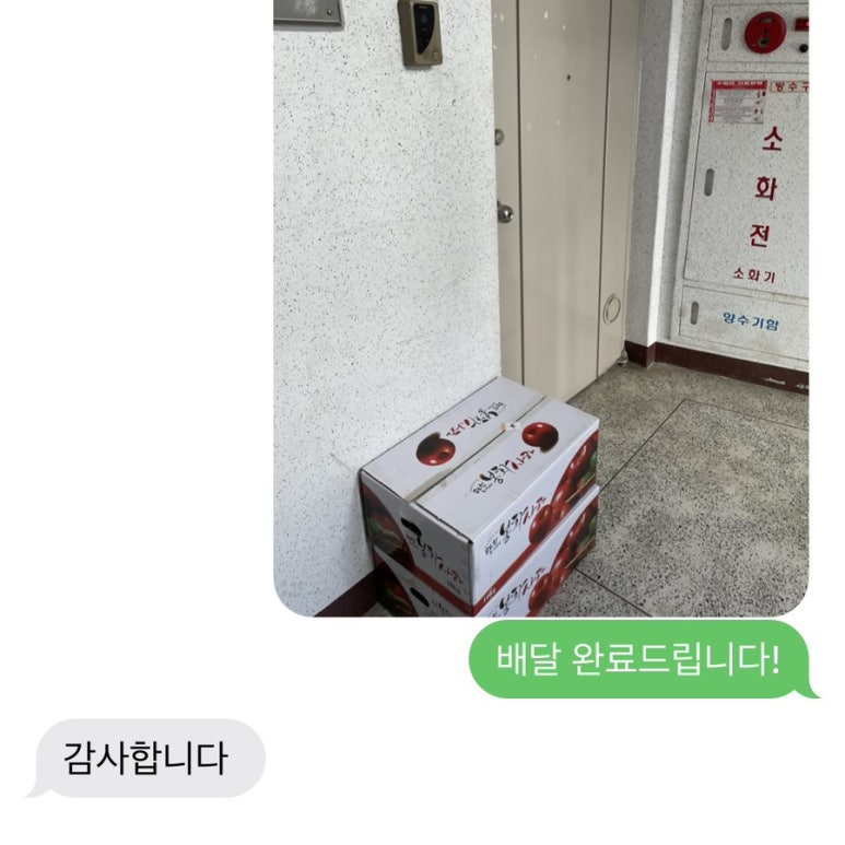 비타분식 이미지