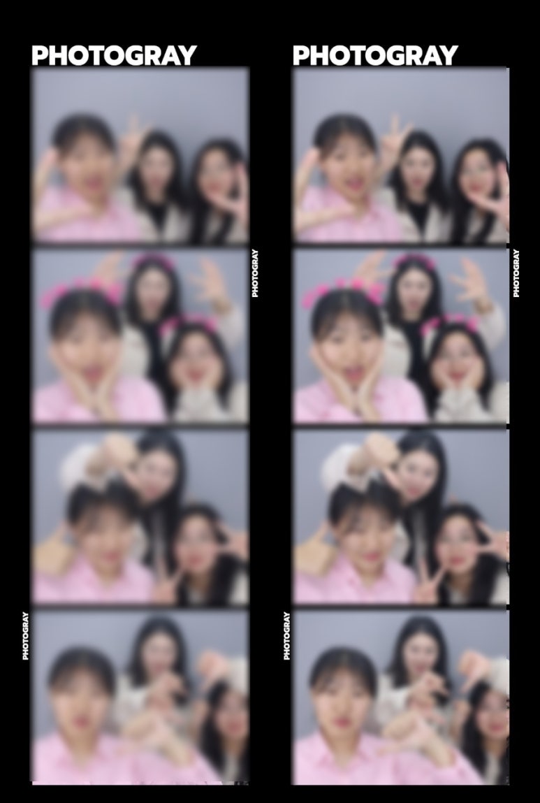 문화주 이미지