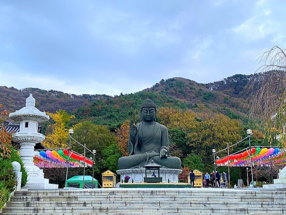 법인자연심 이미지