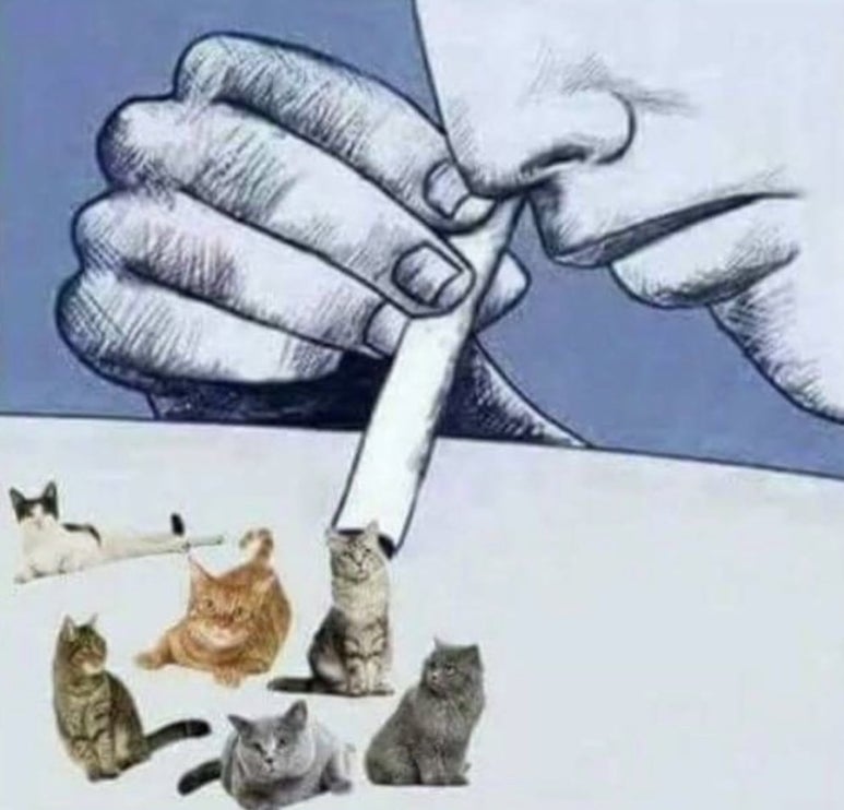 고카인 이미지