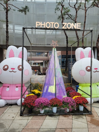 스테인동백 이미지
